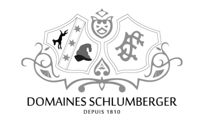 DOMAINES SCHLUMBERGER